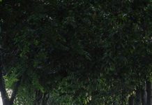 How to create a sustainable fitness routine How to create a sustainable fitness routine