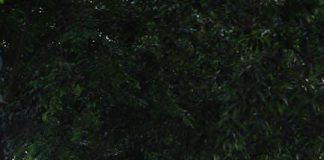 How to create a sustainable fitness routine How to create a sustainable fitness routine