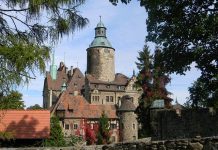 Are Cheat Meals Counterproductive Are Cheat Meals Counterproductive