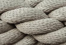 The Role of Fiber in Weight Loss and Appetite Control The Role of Fiber in Weight Loss and Appetite Control