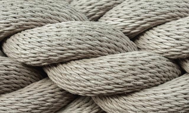 The Role of Fiber in Weight Loss and Appetite Control The Role of Fiber in Weight Loss and Appetite Control