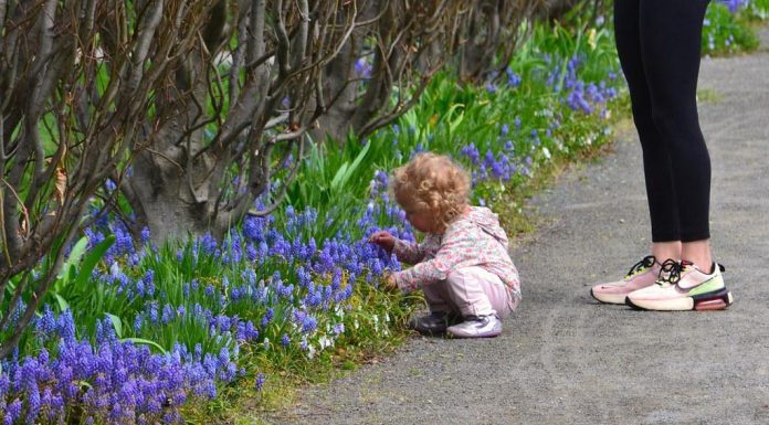 How to Practice Mindfulness for Better Well-Being How to Practice Mindfulness for Better Well-Being