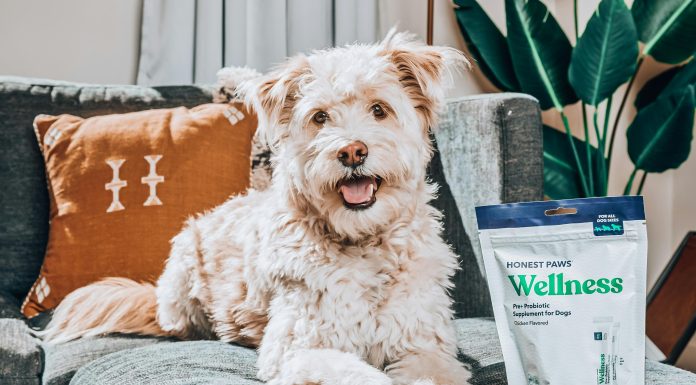 Should You Take Probiotics Daily Should You Take Probiotics Daily