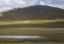 How to break through a weight loss plateau How to break through a weight loss plateau