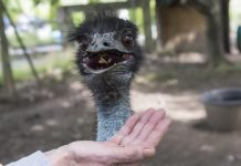 Top snacks to keep you full longer Top snacks to keep you full longer