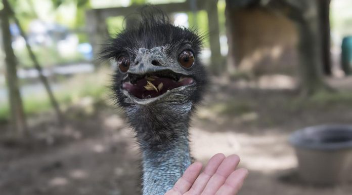 Top snacks to keep you full longer Top snacks to keep you full longer