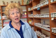 Natural Tips to Reduce Seasonal Allergies Natural Tips to Reduce Seasonal Allergies