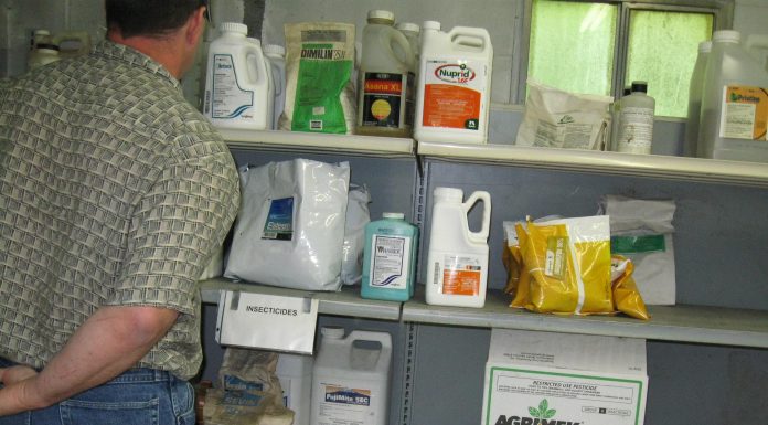 Should We Be Concerned About Pesticides Should We Be Concerned About Pesticides