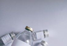 Foods that support mental clarity and focus Foods that support mental clarity and focus