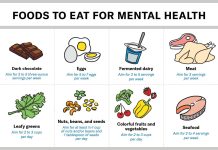The Link Between Food and Mental Health The Link Between Food and Mental Health