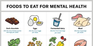 The Link Between Food and Mental Health The Link Between Food and Mental Health