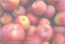 Tips for reducing calorie intake without feeling deprived Tips for reducing calorie intake without feeling deprived