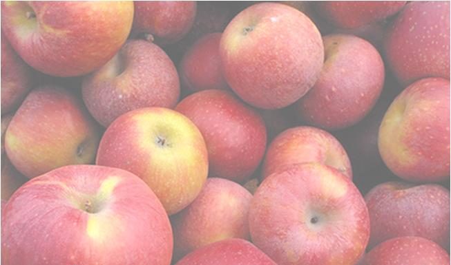 Tips for reducing calorie intake without feeling deprived Tips for reducing calorie intake without feeling deprived