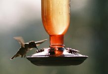 Does Metabolism Actually Slow Down with Age Does Metabolism Actually Slow Down with Age