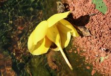 The Power of Hydration: Why Water Matters The Power of Hydration: Why Water Matters