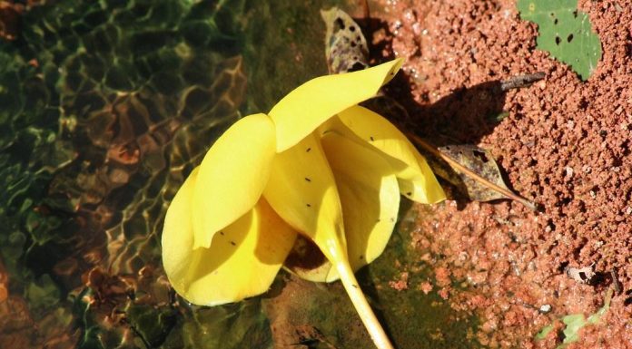 The Power of Hydration: Why Water Matters The Power of Hydration: Why Water Matters