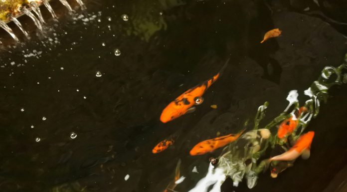 The Pressure to Monetize Hobbies The Pressure to Monetize Hobbies