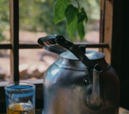 Importance of meal timing in weight management Importance of meal timing in weight management