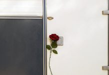 The Power of Saying No to Protect Your Time The Power of Saying No to Protect Your Time