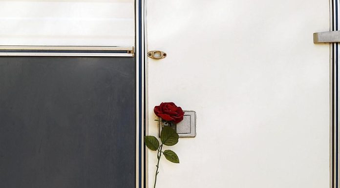 The Power of Saying No to Protect Your Time The Power of Saying No to Protect Your Time