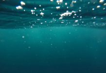 Is Tap Water Safe for Drinking Is Tap Water Safe for Drinking