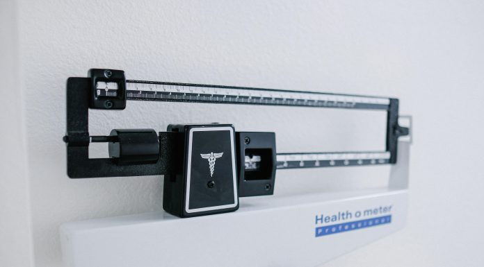 How to Build a Diet Plan That Supports Weight Loss How to Build a Diet Plan That Supports Weight Loss