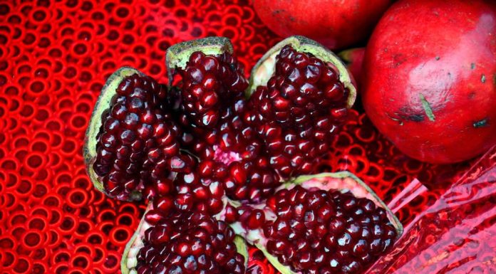 Can Athletes Avoid All Processed Foods Can Athletes Avoid All Processed Foods