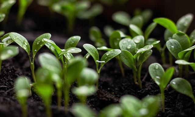 How to Build a Sustainable Health Routine How to Build a Sustainable Health Routine