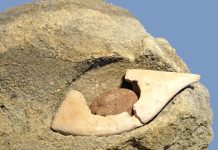 Must-Know Tips for Working Out Safely at Home Must-Know Tips for Working Out Safely at Home