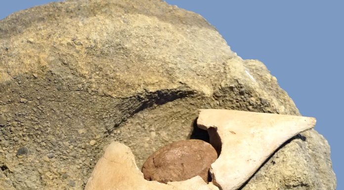 Must-Know Tips for Working Out Safely at Home Must-Know Tips for Working Out Safely at Home