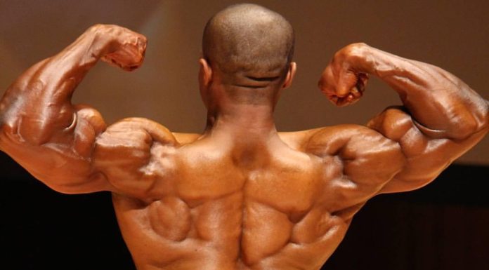 Tips for balancing carbs, proteins, and fats Tips for balancing carbs, proteins, and fats