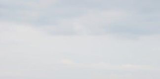 Can You Be “Fit” Without Being Lean Can You Be “Fit” Without Being Lean