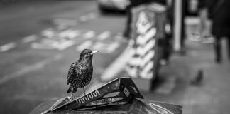 Small Changes for Big Health Benefits Small Changes for Big Health Benefits