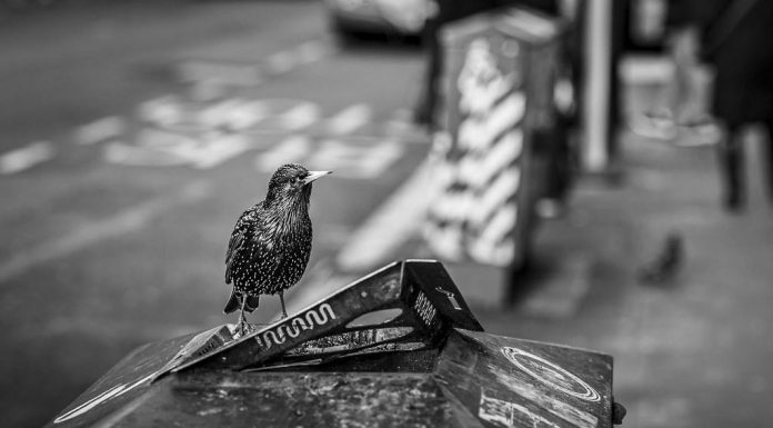 Small Changes for Big Health Benefits Small Changes for Big Health Benefits