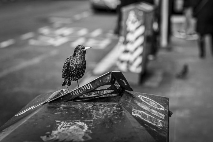 Small Changes for Big Health Benefits