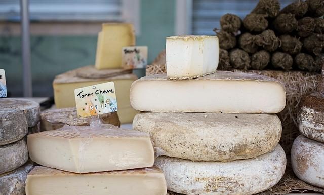 Should Dairy Be Part of a Healthy Diet Should Dairy Be Part of a Healthy Diet