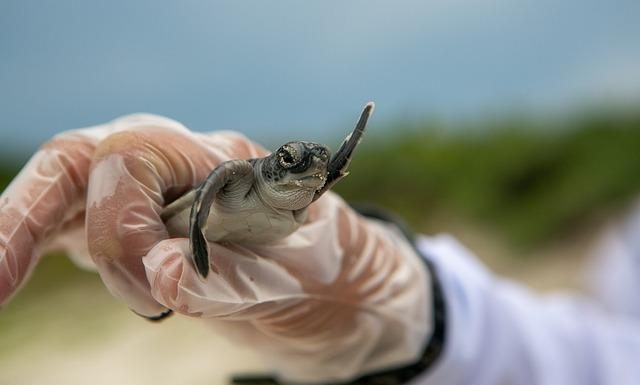 Recovery techniques after intense workouts Recovery techniques after intense workouts