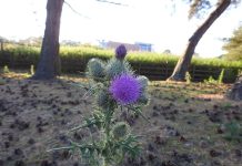 Mindfulness Practices to Enrich Your Life Mindfulness Practices to Enrich Your Life