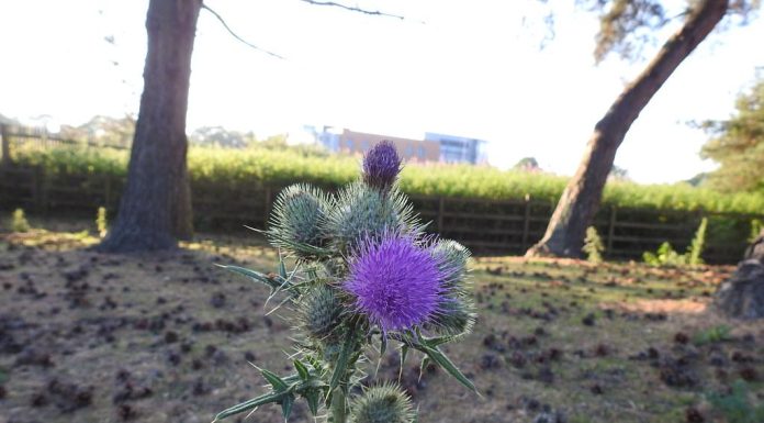 Mindfulness Practices to Enrich Your Life Mindfulness Practices to Enrich Your Life