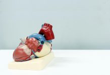 High-Intensity vs. Low-Intensity Cardio High-Intensity vs. Low-Intensity Cardio