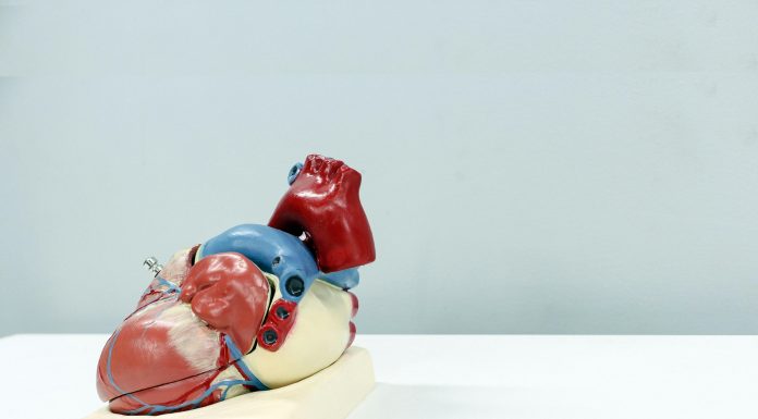 High-Intensity vs. Low-Intensity Cardio High-Intensity vs. Low-Intensity Cardio