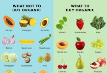 The Debate on Organic vs. Conventional Foods The Debate on Organic vs. Conventional Foods
