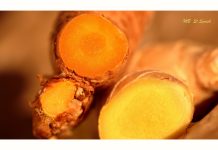 Natural remedies to reduce seasonal allergies Natural remedies to reduce seasonal allergies