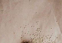 Can You Overeat on ‘Healthy’ Foods Can You Overeat on ‘Healthy’ Foods