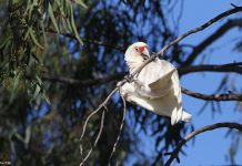 Does Morning Exercise Really Burn More Fat Does Morning Exercise Really Burn More Fat