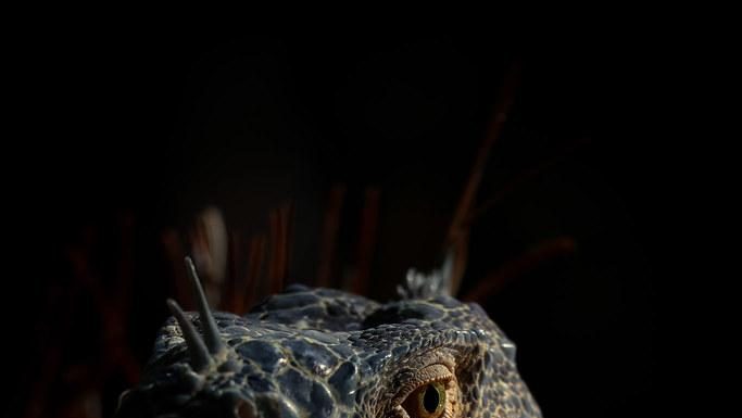 Preventing Common Health Issues with Simple Habits Preventing Common Health Issues with Simple Habits