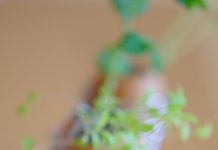 Healthy Eating Tips for Weight Management Healthy Eating Tips for Weight Management