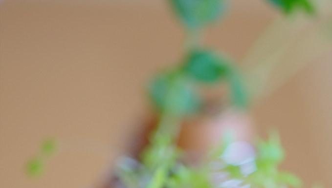 Healthy Eating Tips for Weight Management Healthy Eating Tips for Weight Management