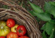 Benefits of eating seasonal produce Benefits of eating seasonal produce