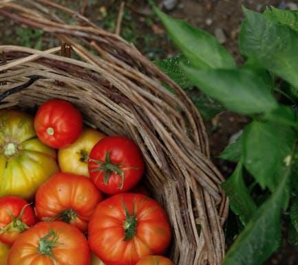 Benefits of eating seasonal produce Benefits of eating seasonal produce